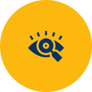 Our Vision Icon